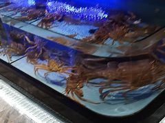 -阿伟海鲜楼·福建菜(延寿店)