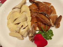 -千灯盛汇·头牌粤菜(致越优城店)
