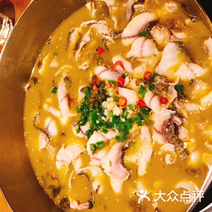 江南鱼捞图片 - 第1张