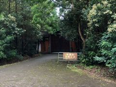 -上海海湾国家森林公园