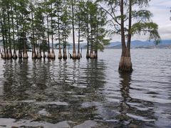 -大理洱海