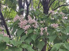 -漕溪路(地铁站)