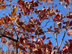 -北京西山国家森林公园