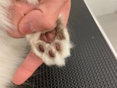 -comecome来吧宠物(奥克斯中心店)