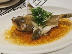-强记海鲜·大排档(蛇口新街店)