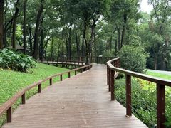 -云溪植物园