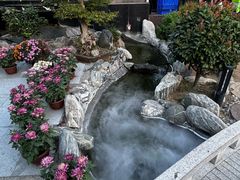 -蘇河湾·新鲁菜·泰山宴(泰山店)