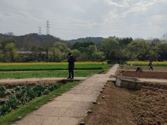 -八卦田遗址公园