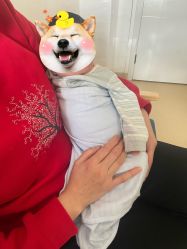 -南闸医院月子中心