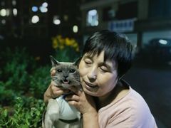 -宠爱国际动物医院· 猫科· 外科·中兽医(长白店)