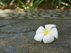 -深圳博物馆(古代艺术馆)
