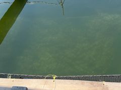 -蓝湾碧波·老字号·疍家非遗海上餐厅