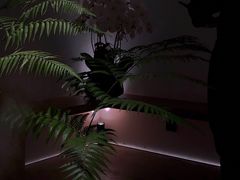 -光作面包Voila Lumiere(中山店)