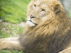 -北京野生动物园