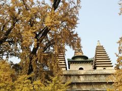 -北京石刻艺术博物馆(五塔寺)