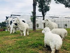 -上膳源有机农场