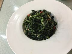 凉拌苦苦菜-老毛手抓(长城路店)