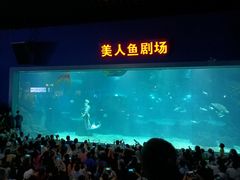 -福州罗源湾海洋世界旅游区