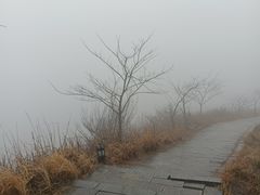 -东白山