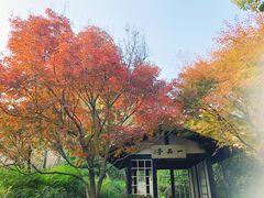 -中国茶叶博物馆(双峰馆区)