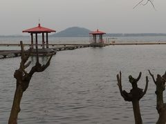 -东湖听涛景区
