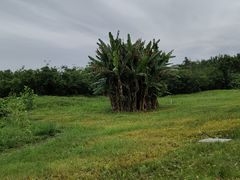 -白鹭湾湿地公园