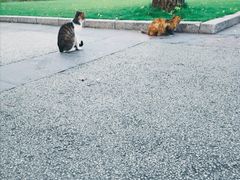 -苏州河梦清园环保主题公园