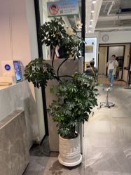 -LJOY丽锦造型·烫发染发