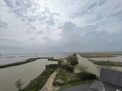 -盐城丹顶鹤湿地生态旅游区