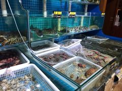水产区-鲜小岛·铜锅涮肉