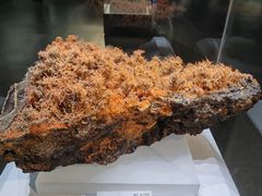 -湖南省地质博物馆