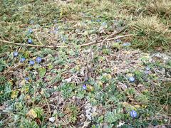 -龙坑生态保护区