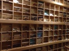 -猫的天空之城概念书店(苏州诚品店)
