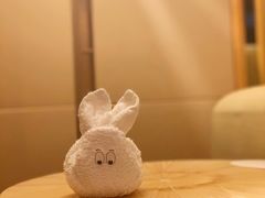 -新加坡丽思卡尔顿美年酒店
