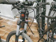 -道路口单车爱瓦士dahon大行