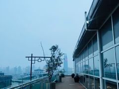 -梧桐餐厅(泉城路店)