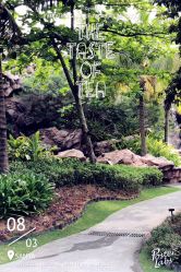 点击看大图 -海棠湾香格里拉度假酒店儿童探险乐园