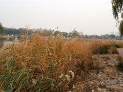 -泰丰公园