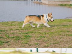-江阴敔山湖公园