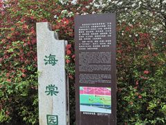 -洛阳市隋唐城遗址植物园