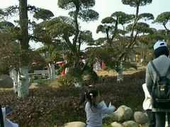 -武汉紫薇都市田园