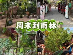 -呀路古热带植物园