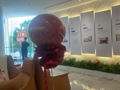 -深圳米兰柏羽医疗美容医院