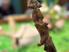 -乡村馕坑肉·烧烤·新疆菜·本地人更爱吃(阿勒泰首店)