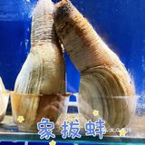 海鲜香不怕巷子深🦪🍤🐟🐚