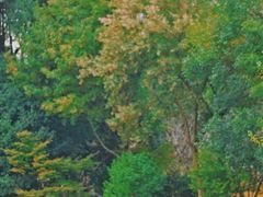 -杭州城北体育公园