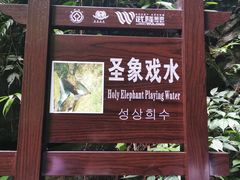 -龙水峡地缝景区