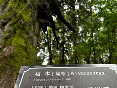 -剑门关风景区