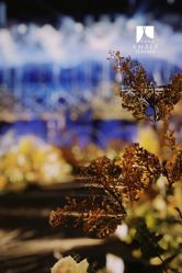 点击看大图 -琥珀婚礼策划AMBER WEDDING