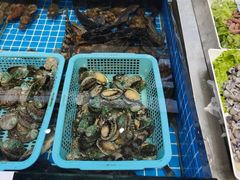 -大锅强·蒸海鲜青岛菜(吾悦广场店)